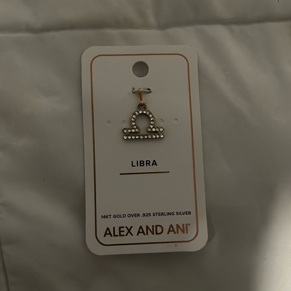 Alex and Ani Charm